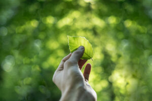 Green Key eco-certification symbol representing the hotel’s commitment to sustainable practices.